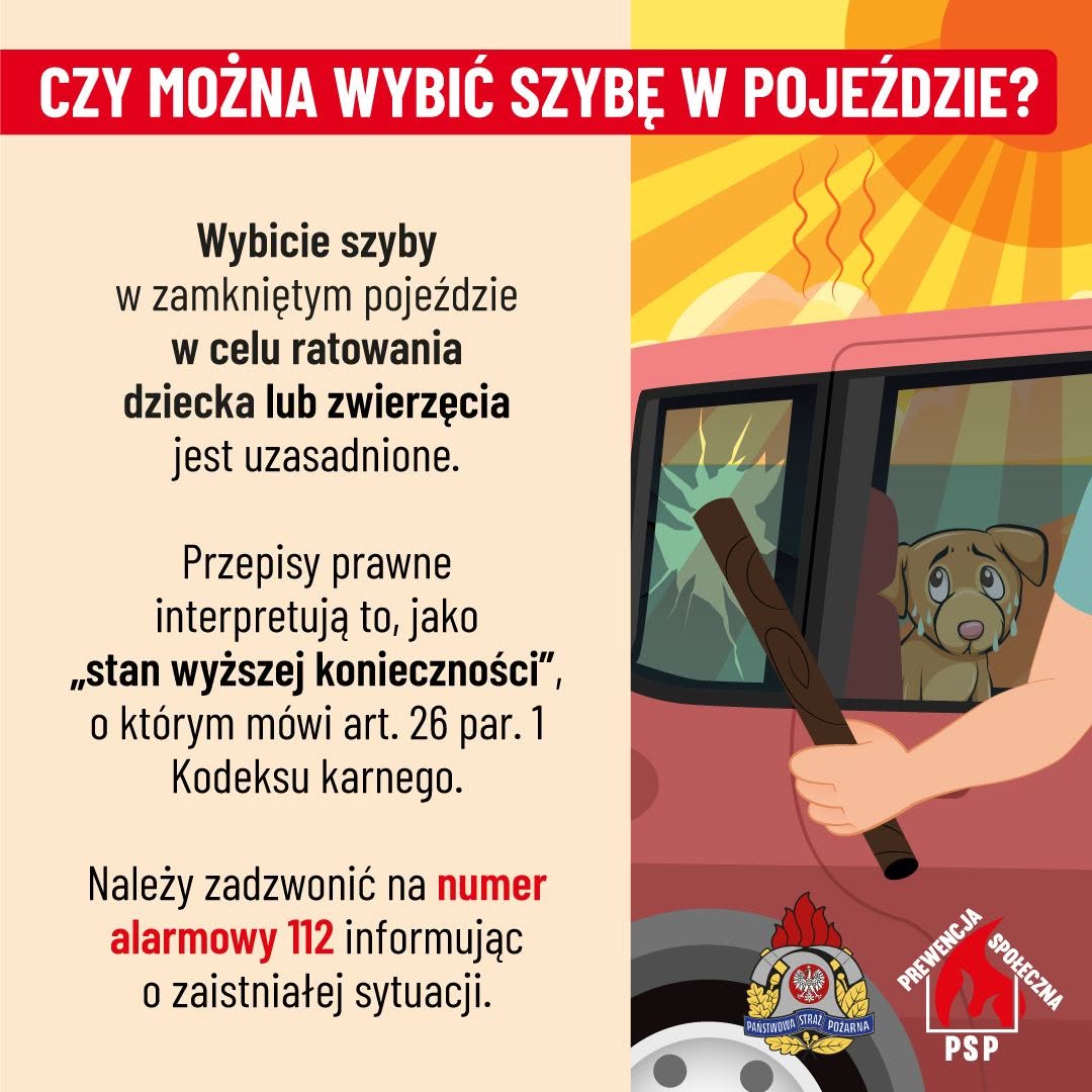 Dziecko lub pies w gorącym aucie? Wiesz, co robić?