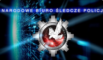 Narodowe Biuro Śledcze Policji - nowa jednostka do walki z przestępczością
