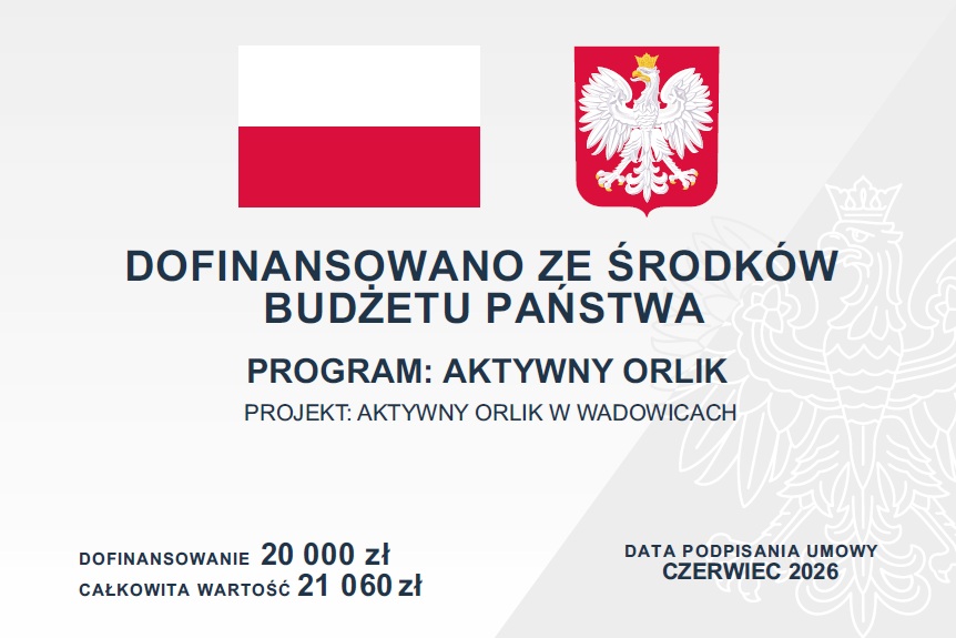 Wadowice organizuje turnieje dla dzieci i młodzieży. Dofinansowanie 20 tysięcy złotych