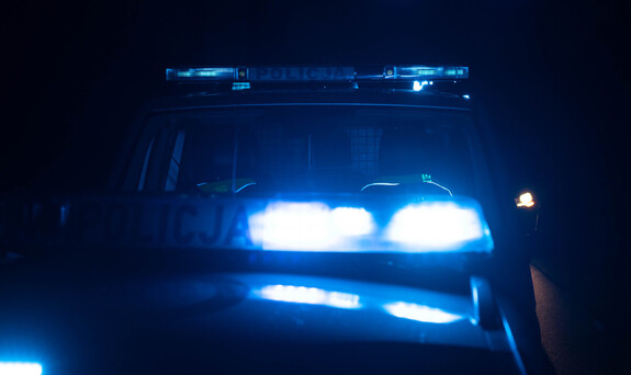 Żółw porzucony przy stacji kolejowej. Policja apeluje o odpowiedzialność wobec zwierząt