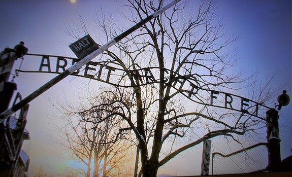 Kolumbijczyk zatrzymany za propagowanie nazizmu w Auschwitz-Birkenau