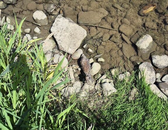 Pocisk moździerzowy znaleziony w Marcinkowicach. Akcja saperów z Krakowa
