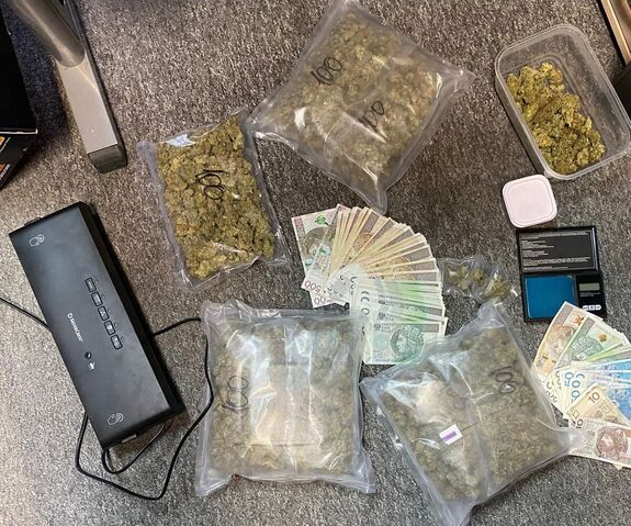 Ponad 750 gramów marihuany. Tarnowska policja zatrzymała dealera