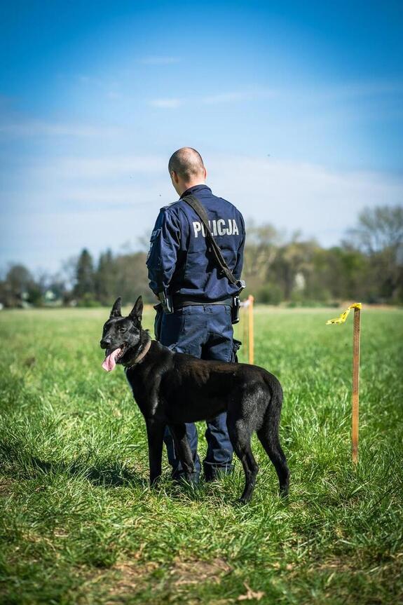 Psy w służbie brzeskiej policji. Na święto czworonogów przypomnienie o opiece