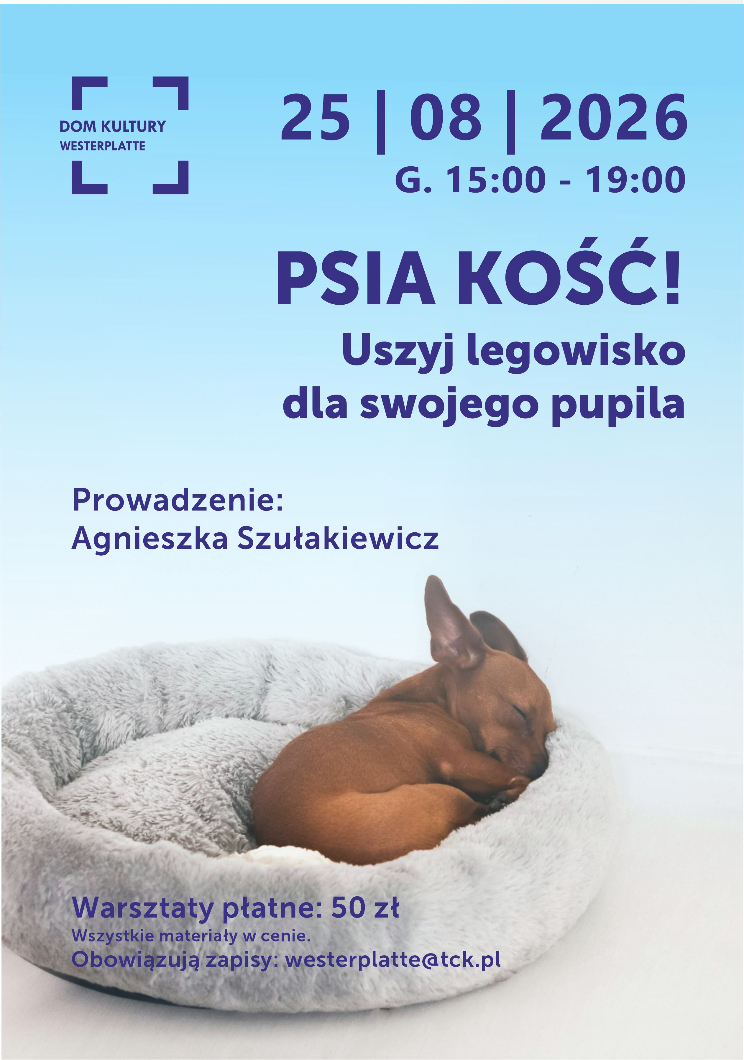 Warsztaty krawieckie: uszyj legowisko dla swojego psa