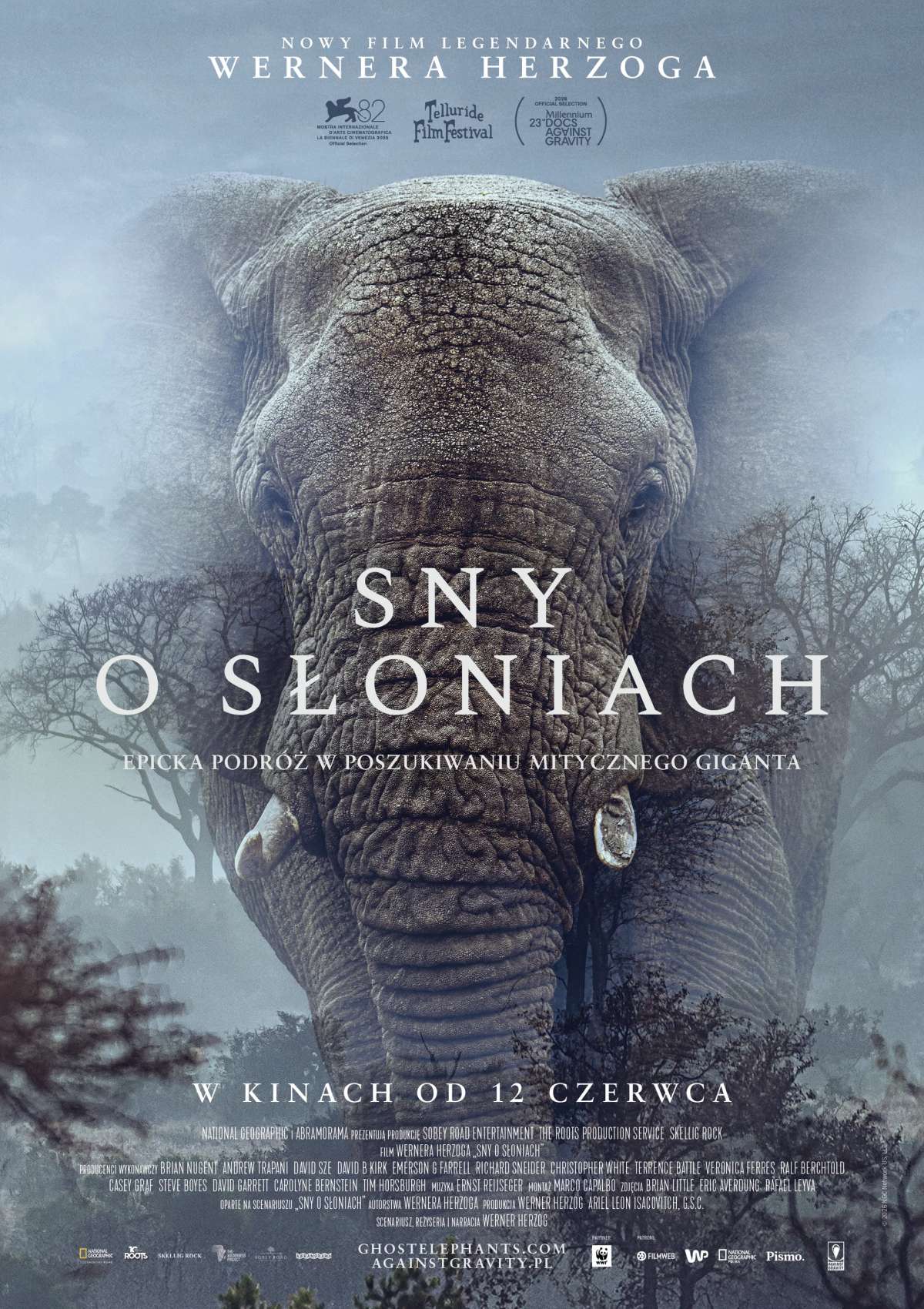 "Sny o słoniach" - film Wernera Herzoga w Marzenia
