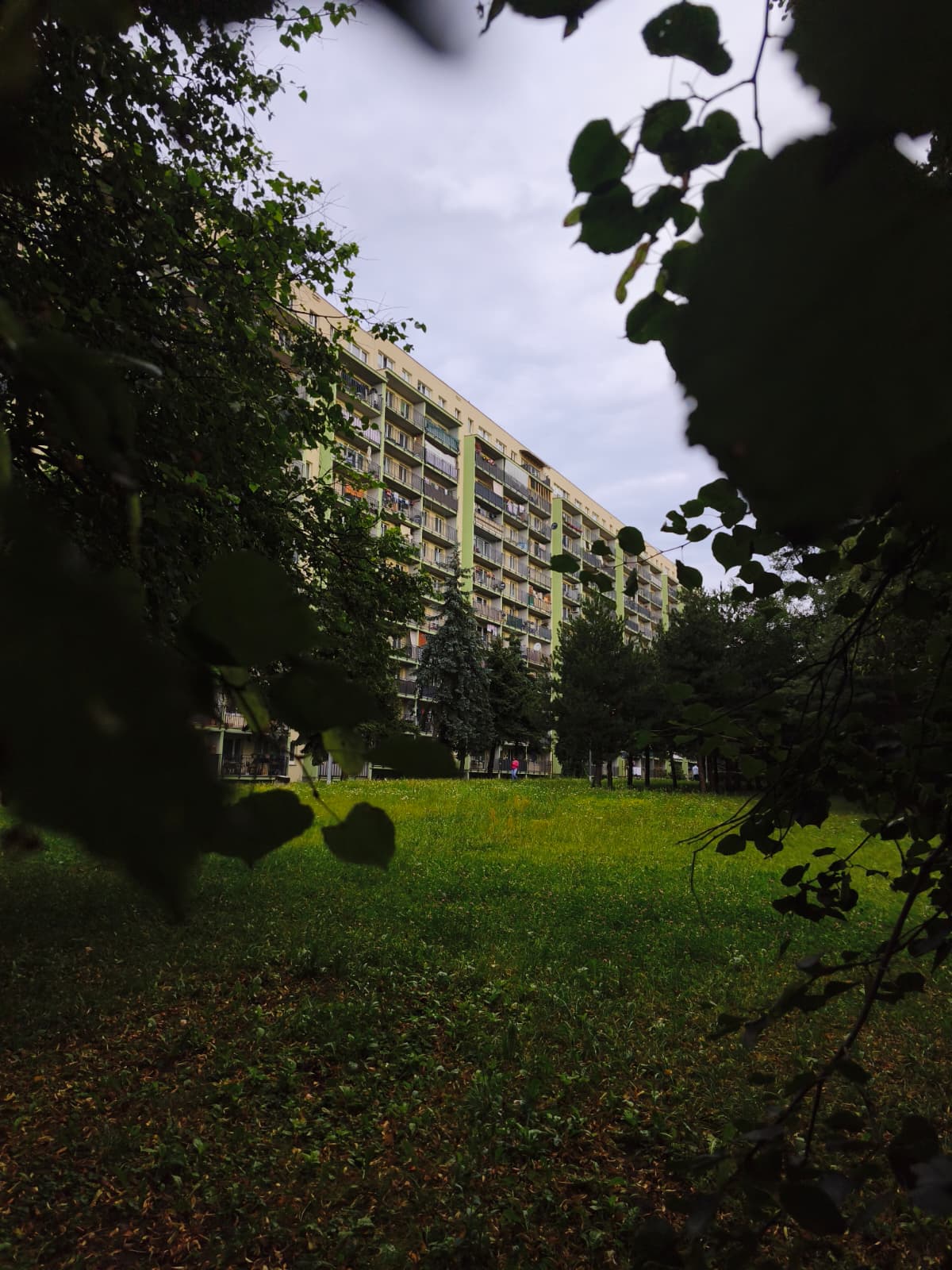Konkurs filmów o Osiedlu Jasna. Nagraj swojego filmika i wygrywaj nagrody