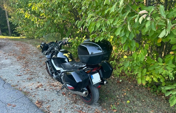 Motocyklista z urazami po zderzeniu z sarną w Kętach