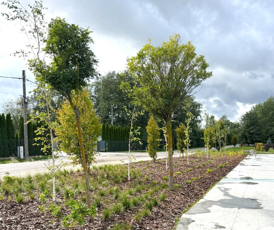 Zalew Wolbromski piękniejszy i bardziej aktywny. Gotowy jest nowy plac sportowo-rekreacyjny