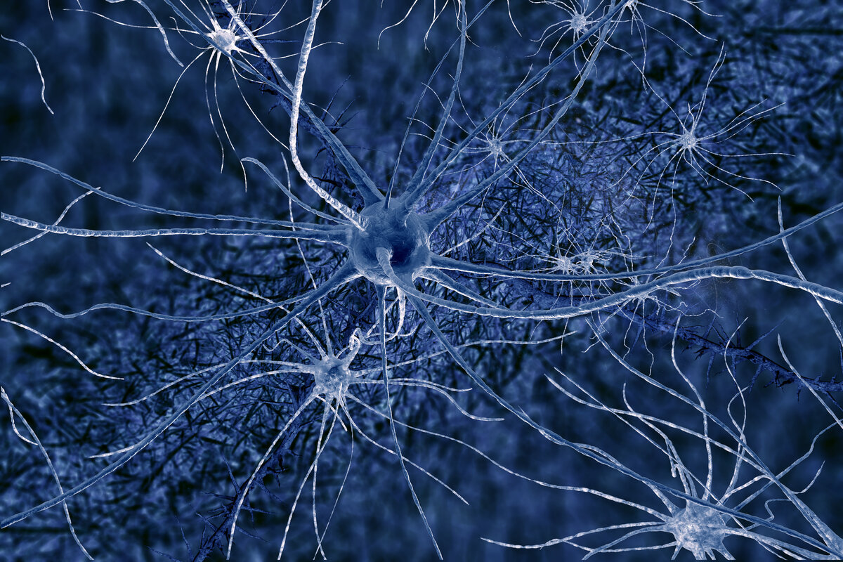 AGH pracuje nad rewolucją w optogenetyce. Światło steruje neuronami
