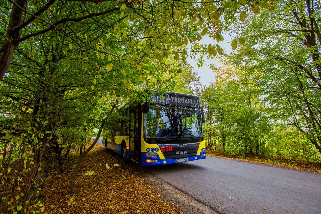 Bezpłatne przejazdy i linie okolicznościowe. Tarnów zmienia rozkład autobusów
