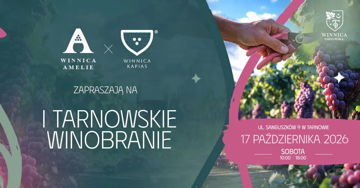 I Tarnowskie Winobranie. Zbiory winogron i degustacja lokalnych win