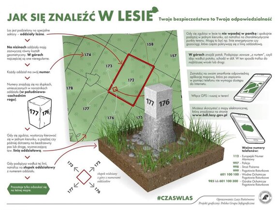 Policja apeluje: zbieraj grzyby rozważnie i bezpiecznie