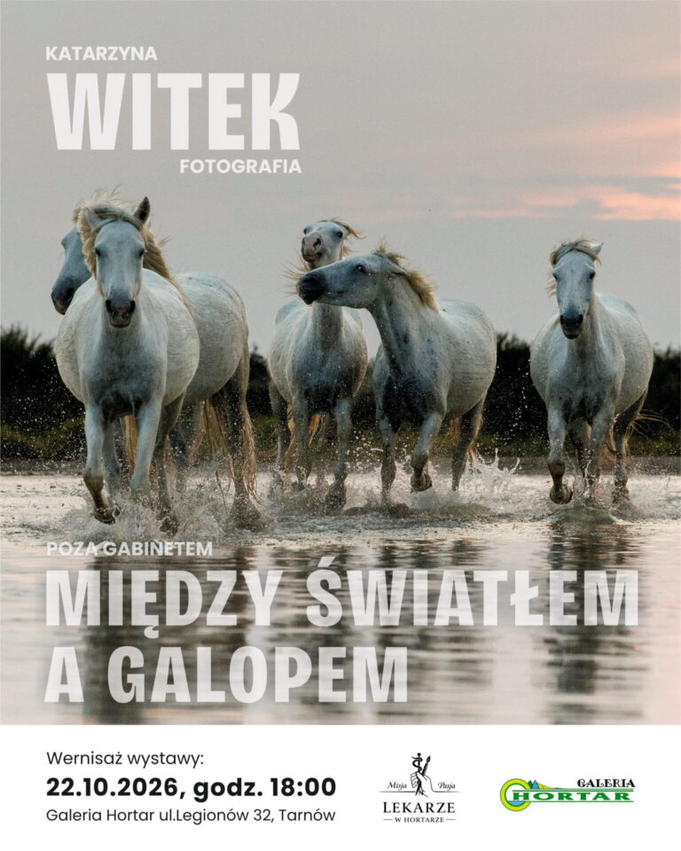 Wernisaż fotografii Katarzyny Witek w Galerii Hortar
